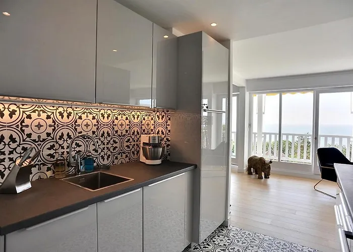 Les Terrasses Du Parc Cordier 滨海图维列